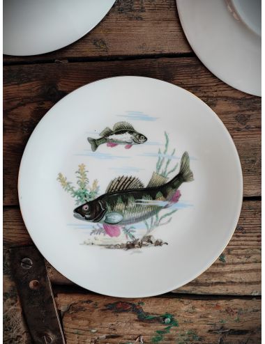 zestaw talerzy porcelanowych ryba ryby