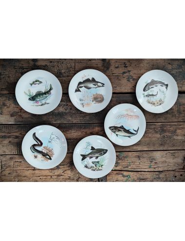 set porcelain plates fish