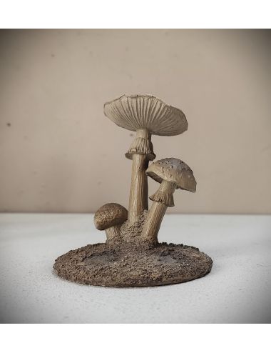 mushroom fungus grzyb grzybek